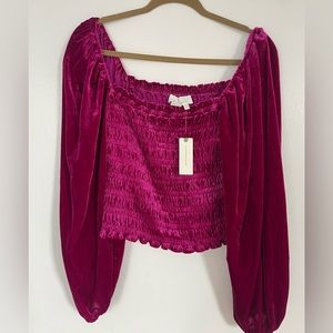 Anthropologie smocked crushed velvet top